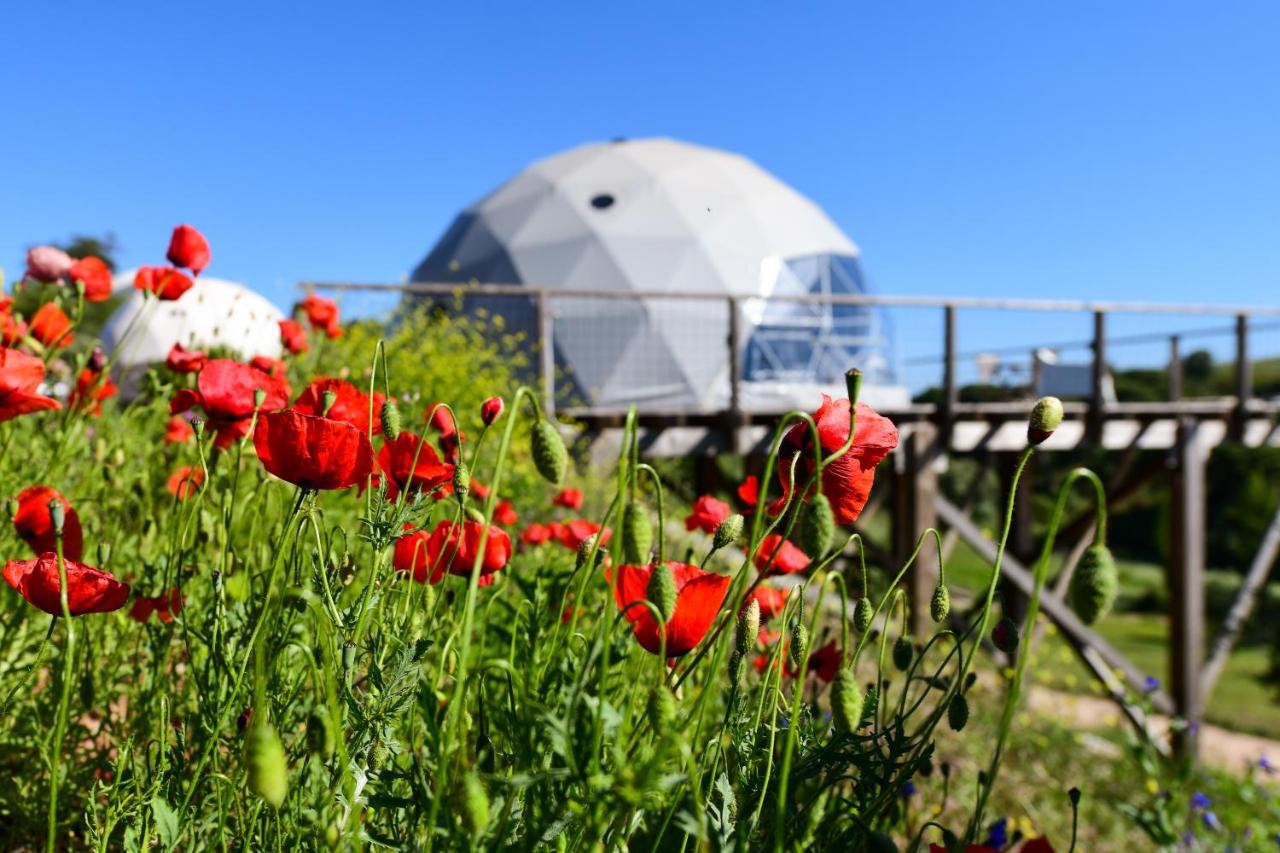 Reserva Alecrim Ecosuite & Glamping Santiago do Cacem Exterior photo